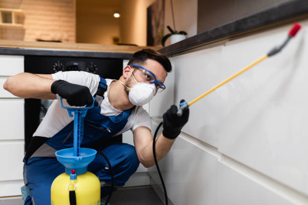 Best Local Pest Control Services  in Kaloko, HI