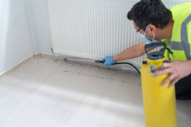 Best Pest Inspection Near Me  in Kaloko, HI